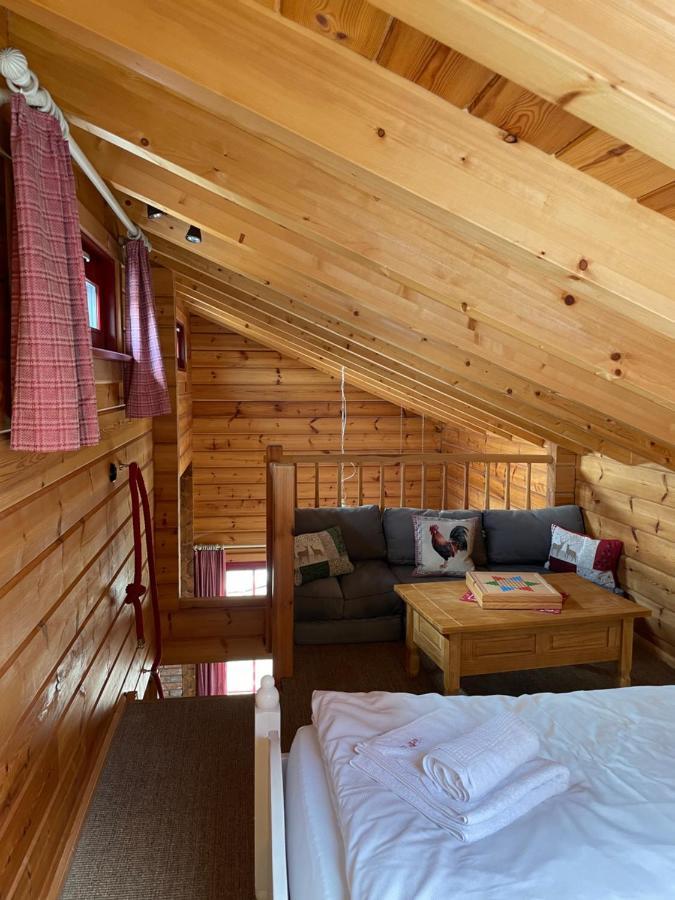 Blockhaus An Der Skiwiese Браунлаге Екстер'єр фото