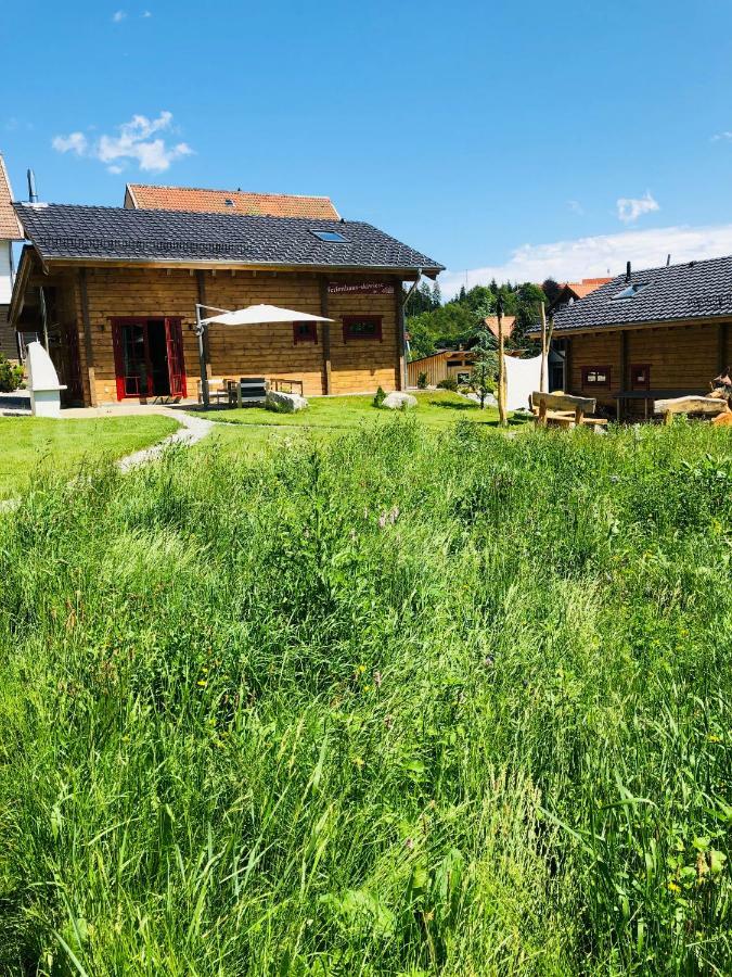 Blockhaus An Der Skiwiese Браунлаге Екстер'єр фото